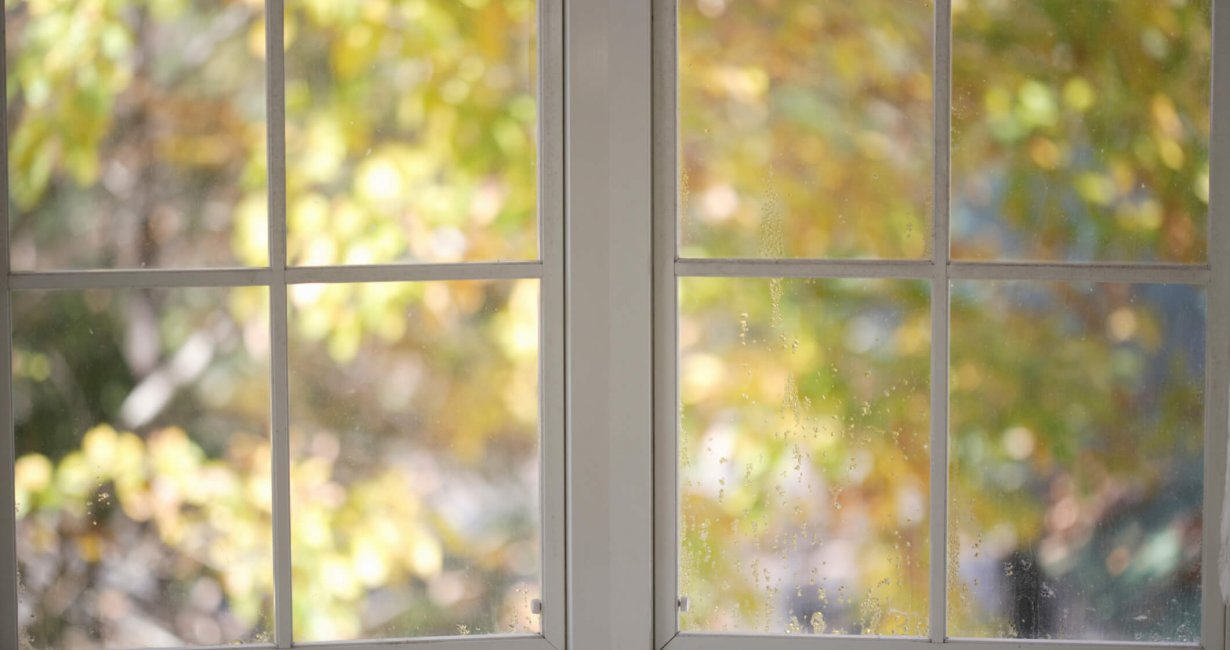 The warm autumn colors of the trees in the garden can be seen through a white window. An image that makes you feel calm.